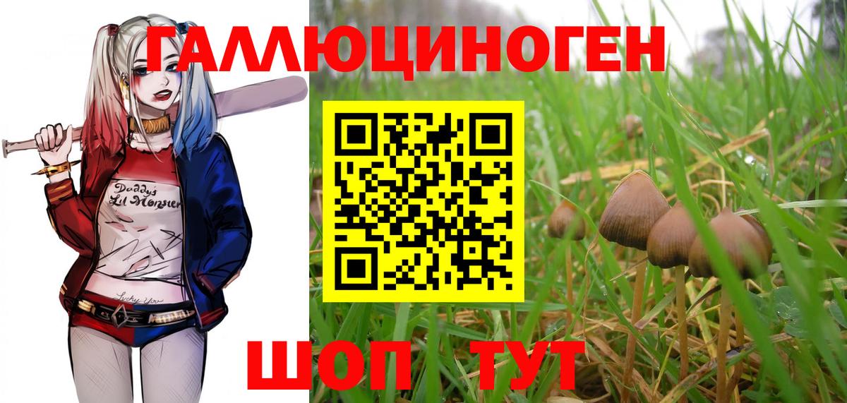 Галлюциногенные грибы Magic Shrooms Ипатово