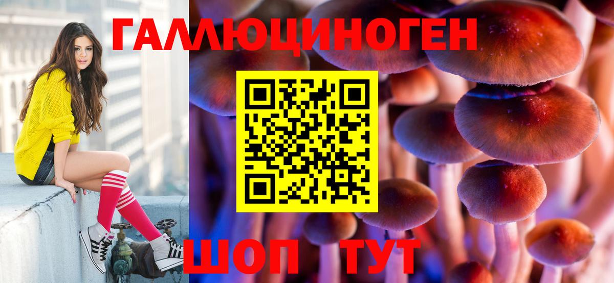 Галлюциногенные грибы прущие грибы  Вход с VPN  Ипатово  Псилоцибиновые грибы мицелий 